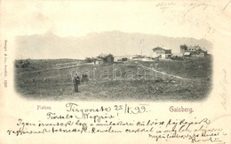 T2/T3 1899 Gaisberg, Plateau - Zonder Classificatie