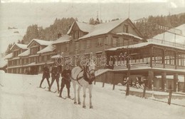 * T2 1917 Skiers With Horse By Hotel Santis, Skiing People, Winter Sport. Photo - Zonder Classificatie