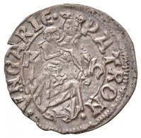 1498-1503K-h Denár Ag 'II. Ulászló' (0,43g) T:2
Hungary 1498-1503K-h Denar Ag 'Wladislaus II' (0,43g) C:XF
Huszár: 805.  - Ohne Zuordnung