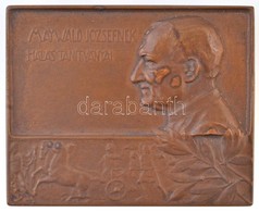 Yrjö Liipola (1881-1971) 1910. 'Maywald Józsefnek Hálás Tanítványai' Br Plakett (59x48mm) T:2 - Non Classés