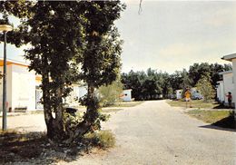 47-MONTFLANQUIN-STATION VERTE DE VACANCES CAMPING - Monflanquin