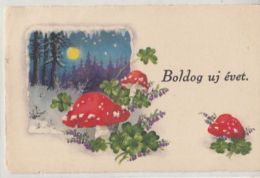 CPA MUSHROOMS, CLOVER, BELLFLOWERS, WINTER LANDSCAPE - Mushrooms