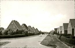 41243481 Langeoog Polderweg - Langeoog