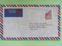 South Africa 1980 Cover To England - Protea Flowers - Brieven En Documenten