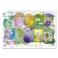 Nederland  2018   Veldbloemen  Flowers Blumen         Velletje/sheetlet   Postfris/mnh/neuf - Neufs