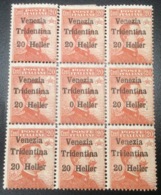 VARIETY Sa. 30c ** Terre Redente TRENTINO ALTO ADIGE 1918  (Italy Italia 1914-18 WW1  War Österreich Tirol Südtirol - Trentin