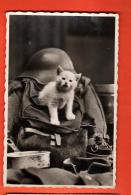 GBW-07 Carte-photo équipement Militaire Et Chat Envoyée De Savatan Sur St-Maurice.  Cachet Militaire Pour Lavey. - Saint-Maurice