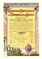 PORTUGAL, Acções & Obrigações, F/VF - Ungebraucht