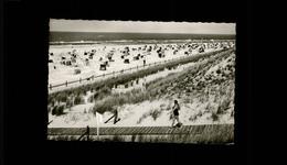 41243010 Langeoog Duenen Strand - Langeoog