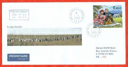 TAAF 2003. Birds. Envelopes Past The Mail. - Lettres & Documents