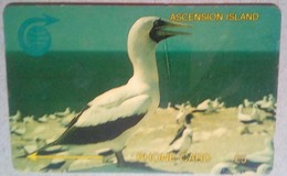 Ascension Island 5CASA Booby Bird 5 Pounds - Isole Ascensione