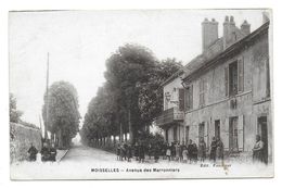 MOISSELLES - Avenue Des Maronniers - Moisselles