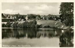 003537 Braunlage I. Harz - Am Gondelteich 1931 - Braunlage