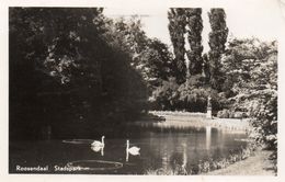 Roosendaal - Stadspark / 1954 - Roosendaal