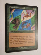 CARTE DE JEU MAGIC THE GATHERING (en Français) MAGNETISME ANIMAL - Autres & Non Classés