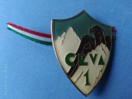 Alpini  1° Ceva - Italie