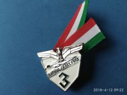 Alpini 3° - Italie