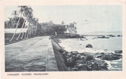 Guinée. Conakry. Carte Adressée à M. Rey, Jours-en-Vaux. - Französisch-Guinea