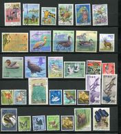 Japon Ob - Lot 1.1 - Oiseaux Divers - Lots & Serien