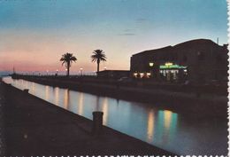 Viareggio - Molo Notturno - Viareggio