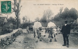 H109 - 01 - LE HAUT BUGEY - Ain - Attelage De Boeufs - Other Municipalities