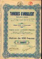 « Tanneries D’ANDERLECHT SA» - Capital : 2.500.000 Fr – Action De 500 Fr - Tessili