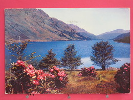 Ecosse - Loch Eck Near Dunoon - Argyll Shire - 1968 - Scans Recto-verso - Argyllshire