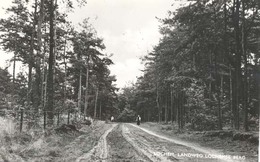 Lochem, Landweg Lochemse Berg - Lochem