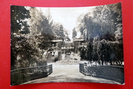 Riesa - Freitreppe Im Stadtpark - Elbe - Meißen - Echtfoto - DDR 1964 Sachsen - Riesa