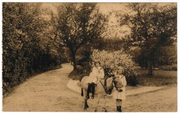 Eeklo, Eekloo, O.L.Vrouw Ten Doorn, Kijkje Op Het Park (pk44219) - Eeklo