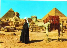 GIZA: The Sphinx And The Pyramid Of Cheops And Chephren - Sphynx