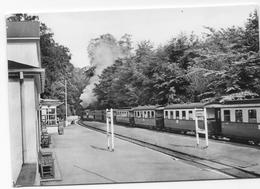 BAD DOBERAN - Bahnhof Mit Baderbahn. - Bad Doberan