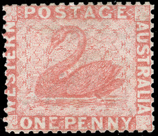 * Australia / Western Australia - Lot No.110 - Nuevos