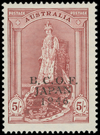 ** Australia - Lot No.135 - Nuovi