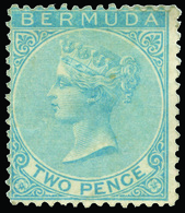 * Bermuda - Lot No.253 - Bermudas