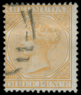 O Bermuda - Lot No.254 - Bermudas