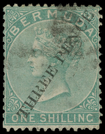 O Bermuda - Lot No.256 - Bermudes