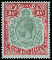 * Bermuda - Lot No.261 - Bermudas