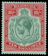 * Bermuda - Lot No.262 - Bermudas