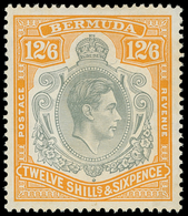 * Bermuda - Lot No.269 - Bermudes