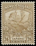 * Canada / Newfoundland - Lot No.380 - 1857-1861