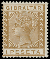 * Gibraltar - Lot No.554 - Gibilterra