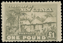 * New Guinea - Lot No.800 - Papua New Guinea