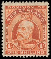 * New Zealand - Lot No.840 - Usati