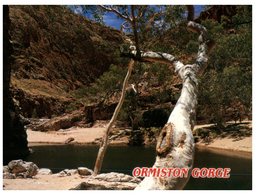 (600) Australia - NT - Ormiston Gorge - The Red Centre