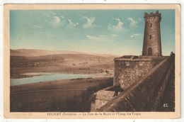 90 - BELFORT - La Tour De La Miotte Et L'Etang Des Forges - Karrer 82 - Belfort – Siège De Belfort