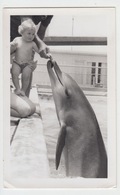 SURFERS PARADISES / CARTE PHOTO LE REPAS DU DAUPHIN - Gold Coast