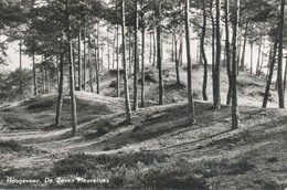 Hoogeveen, De Zeven Heuveltjes - Hoogeveen