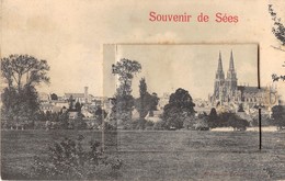 61-SEES- SOUVENIR CARTE DEPLIANTE - Sees