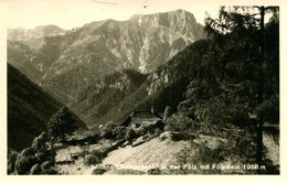 003592 Aflenz Lammerbauer In Der Fölz Mit Fölzstein - Alfenz